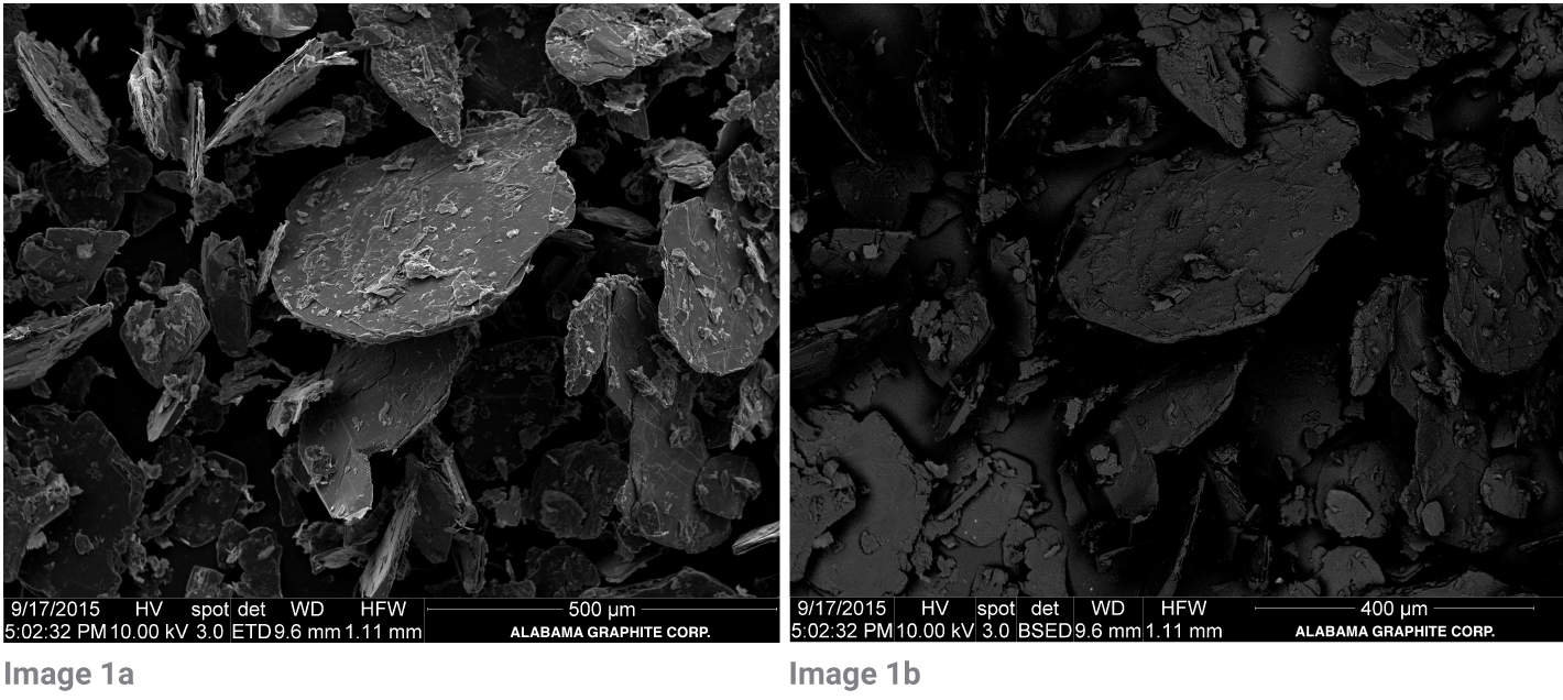A Secondary Electron SEM Micrograph of Purified Graphite Flake Concentrate.